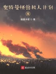 路基艾尔实力