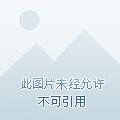 官道平步青云全文免费阅读全文