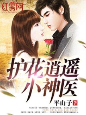 护花小神医全本