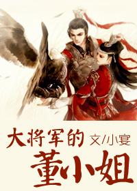 大将军的小娘子电视剧