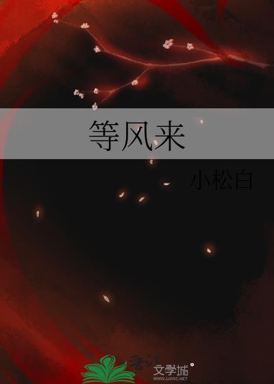 等风来电视剧