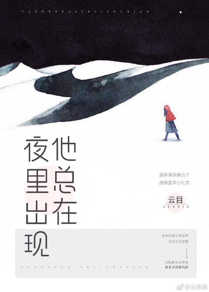 他总在夜里出现全文阅读